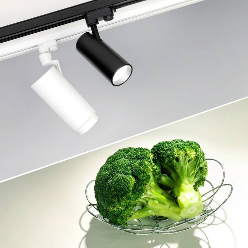 Трековый светильник Arlight Gera Food 032473