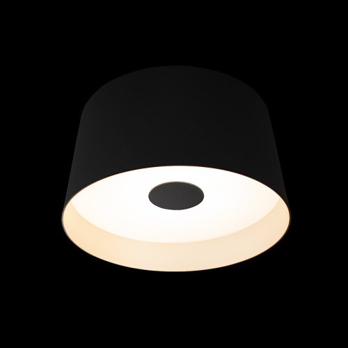 Светильник потолочный Loft It Duo 10360S Black