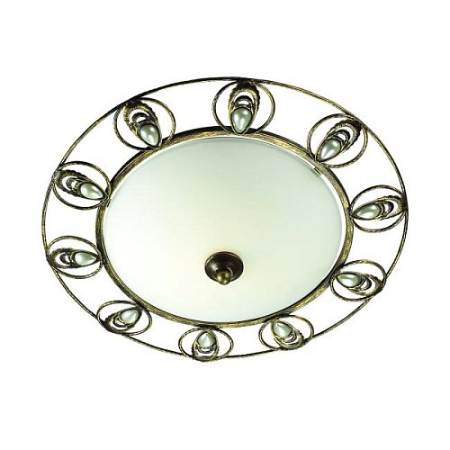 Настенно потолочный светильник Odeon Light Kanti 3484/2C