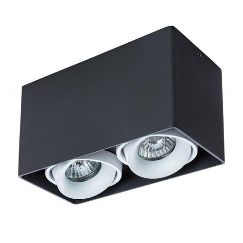 A5654PL-2BK Накладной светильник Arte Lamp Pictor A5654PL-2BK