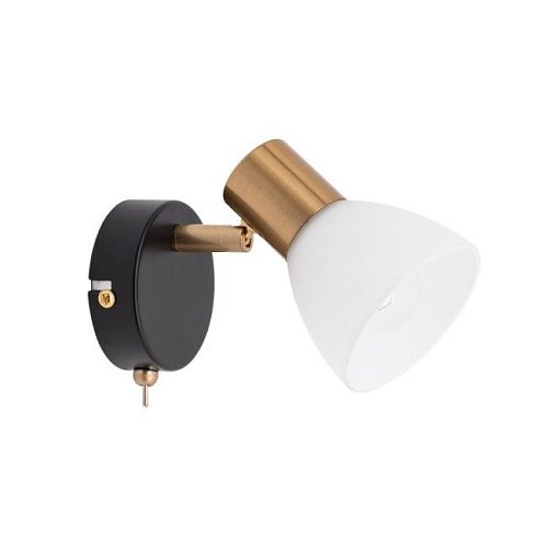 A3117AP-1BK Светильник спот Arte Lamp Falena A3117AP-1BK