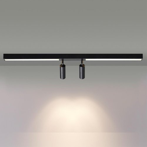Светильник потолочный Lumion Hawk 5690/14CL