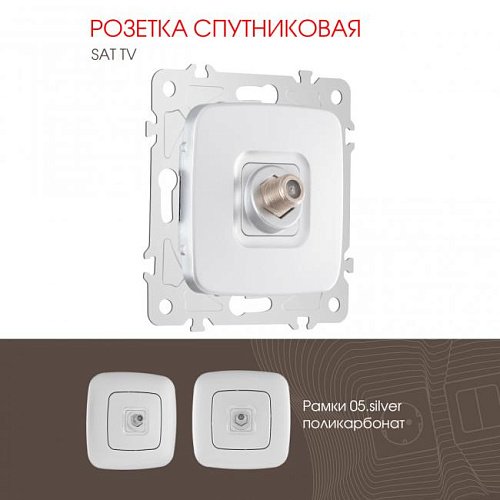 205.42-1.silver Розетка Arte Milano Am-205 205.42-1.silver
