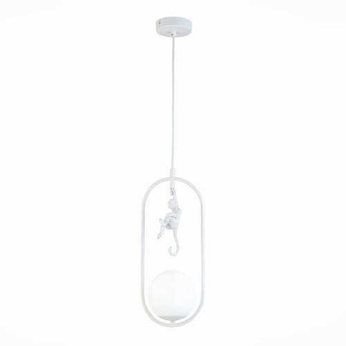 Светильник подвесной Evoluce Tenato SLE115123-01