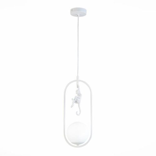 Светильник подвесной Evoluce Tenato SLE115123-01