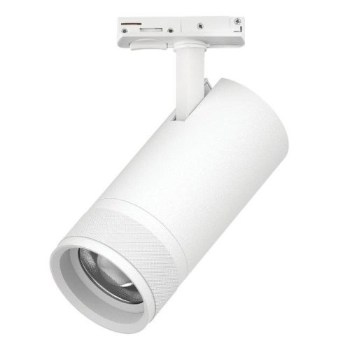 Трековый светильник Lightstar Canno Pro C4306SS