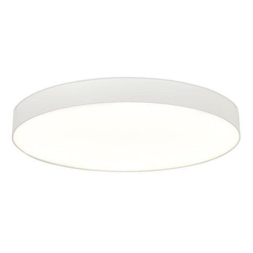 ST601.542.18 Светильник потолочный ST Luce Накладные Светильники ST601.542.18