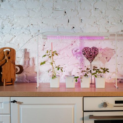 LED-T8-9W/SPSB/G13/CL PLP30WH Лампа для растений Uniel LED-T8-9W/SPSB/G13/CL PLP30WH