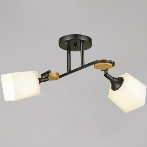 Потолочная люстра 04217-0.3-02 BK