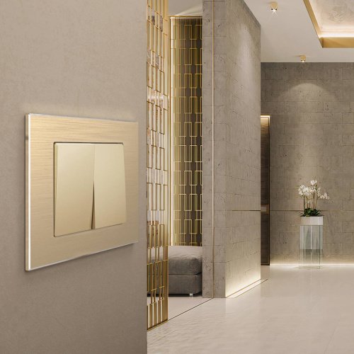 Рамка Werkel W0011711/ Рамка на 1 пост Aluminium (шампань)