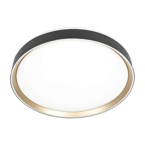 CL751451G Светильник потолочный Citilux Boss CL751451G