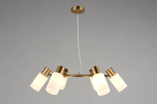 Подвесная люстра Omnilux Ales OML-69103-06