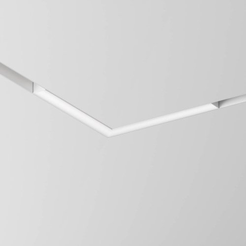 Трековый светильник Maytoni Basis Gravity TR078-2-24W4K-W