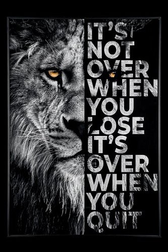 Картина настенная Teona Decor Lion TD112