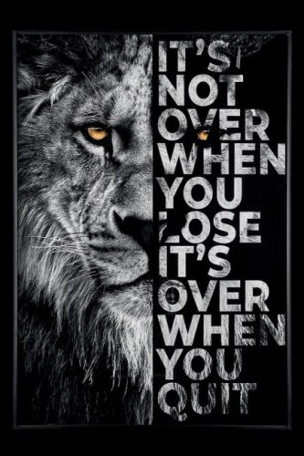 Картина настенная Teona Decor Lion TD112