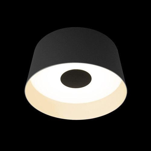 Светильник потолочный Loft It Duo 10360M Grey