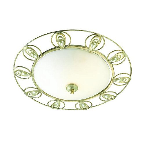 Настенно потолочный светильник Odeon Light Kanti 3483/2C