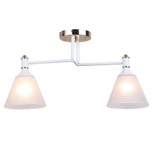 WD3619/2C-WT-FGD-WT Потолочная люстра Wedo Light Anneta WD3619/2C-WT-FGD-WT