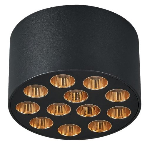 080942 Накладной светильник Lightstar Guarda 080942