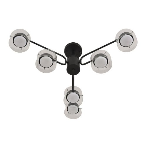 Потолочная люстра Lumion Natalina 8349/6C