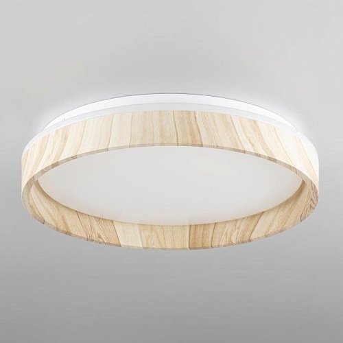 CL753352G Светильник потолочный Citilux Enzo CL753352G