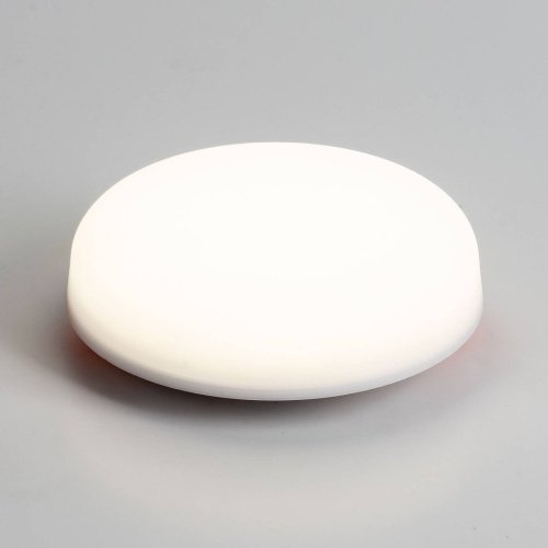 LT307-100 Потолочный светильник LT LEDtrec LT307-100