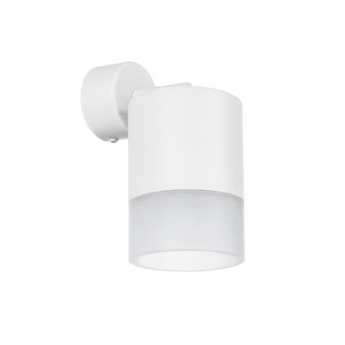 Светильник спот Lightstar Rullo RBX348681