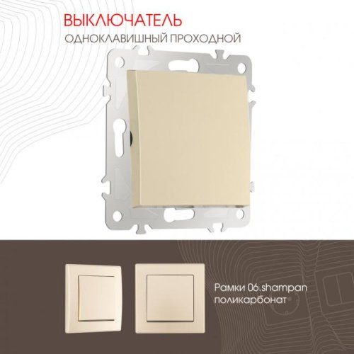 Выключатель Arte Milano Am-206 206.32-1.shampan