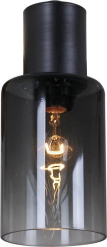 Потолочная люстра 74677-0.3-08