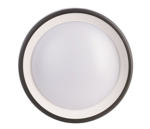 Уличный настенный светильник Deko-Light Canis 731043