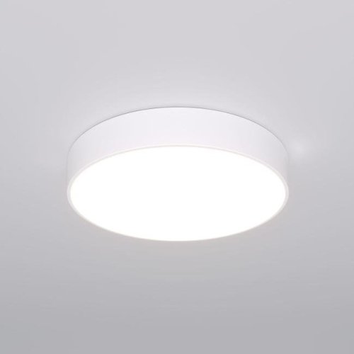 Светильник потолочный Eurosvet Entire 90319/1 белый