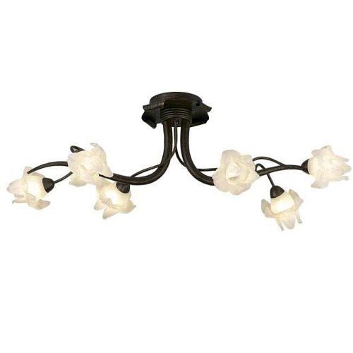 1372/6 Потолочная люстра Odeon Light Iris 1372/6