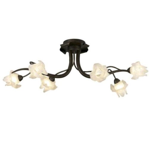 Потолочная люстра Odeon Light Iris 1372/6