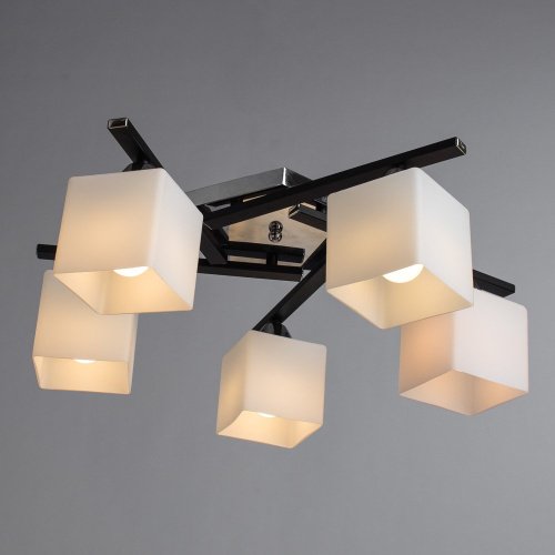 A8165PL-5BK Потолочная люстра Arte Lamp Visuale A8165PL-5BK