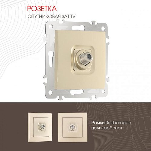 206.42-1.shampan Розетка Arte Milano Am-206 206.42-1.shampan