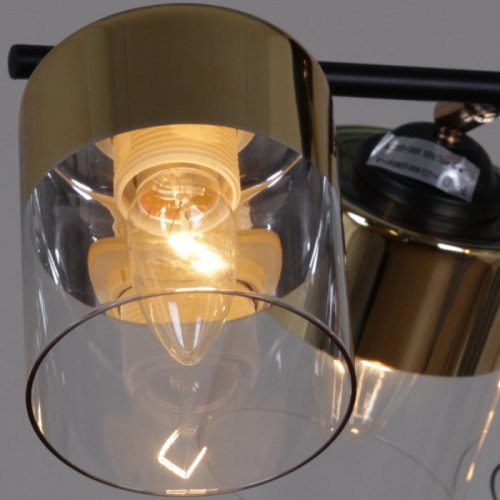 Потолочная люстра 11555-0.3-06 BK+FGD