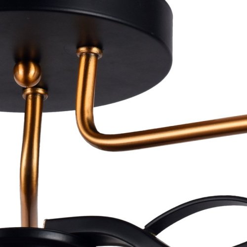 Потолочная люстра 72105-0.3-03 BK+GAB