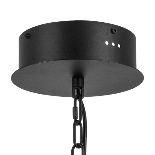 734247 Подвесная люстра Lightstar Iris 734247