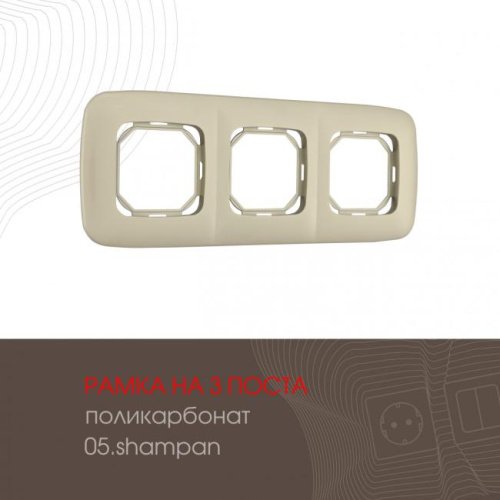 505.05-3.shampan Рамка Arte Milano Am-505.05 505.05-3.shampan
