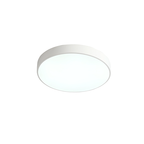 ZRS.02564.48 Светильник потолочный Zortes Tortty ZRS.02564.48