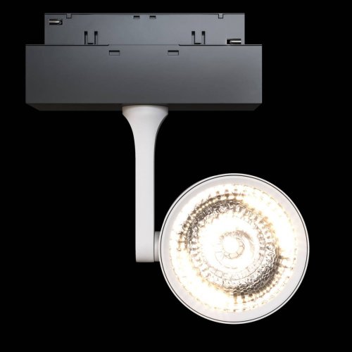 TR024-2-10W3K Трековый светильник Maytoni Track Lamps TR024-2-10W3K