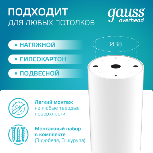 Накладной светильник Gauss HD062