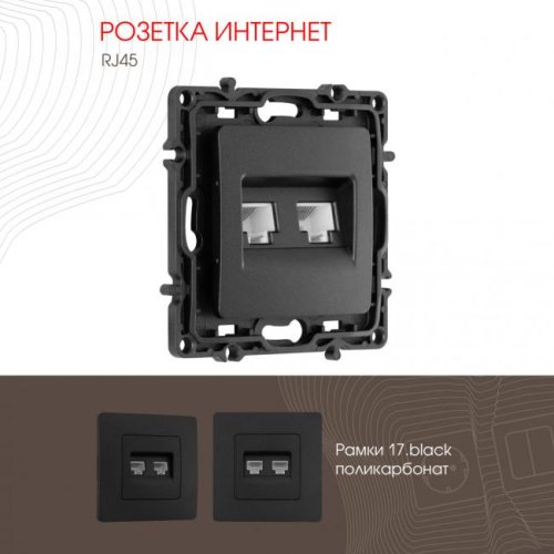 Розетка Arte Milano Am-217 217.45-2.black