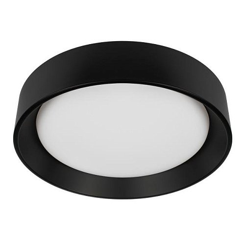 Светильник потолочный Loft It Coin 10202 BB