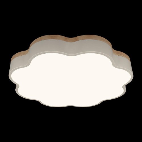 Светильник потолочный Loft It Axel 10225/36 White