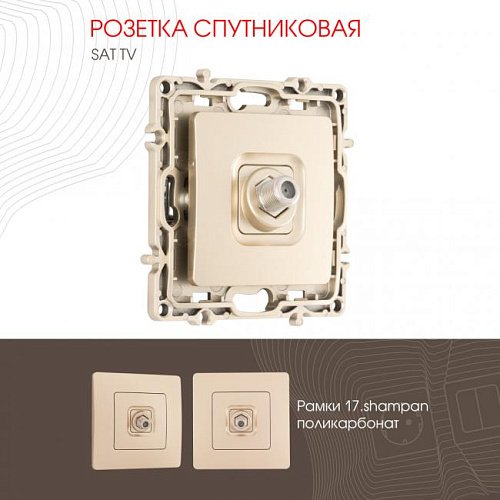 217.42-1.shampan Розетка Arte Milano Am-217 217.42-1.shampan