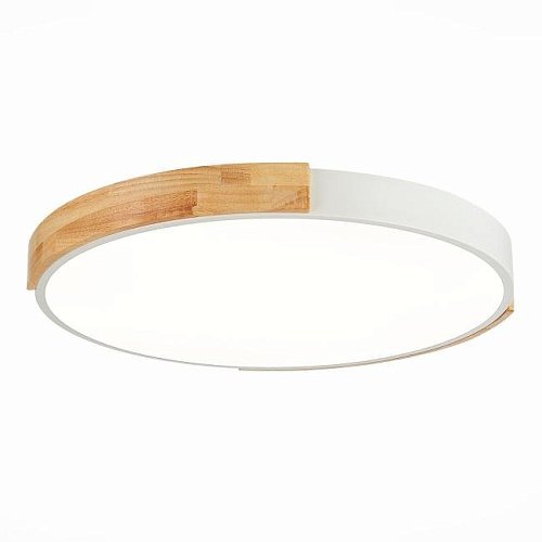 Светильник потолочный Evoluce Delia SLE201352-01