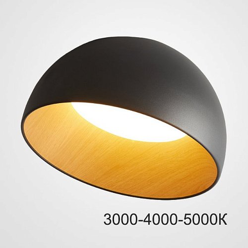 223993-23 Светильник потолочный ImperiumLoft Bara01 223993-23