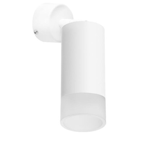 Светильник спот Lightstar Rullo RB43631