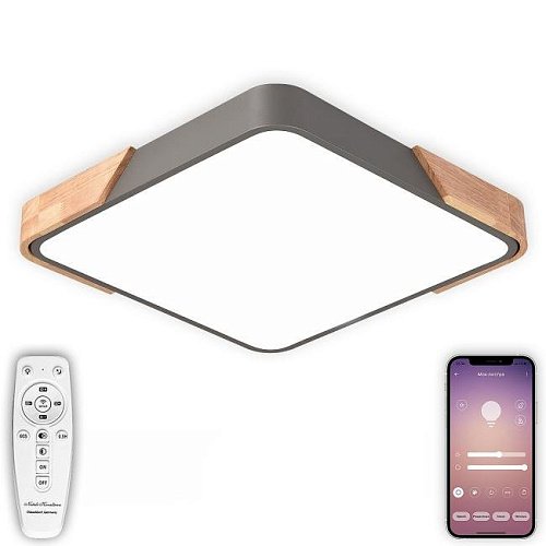 Светильник потолочный Natali Kovaltseva LED LAMPS 81412